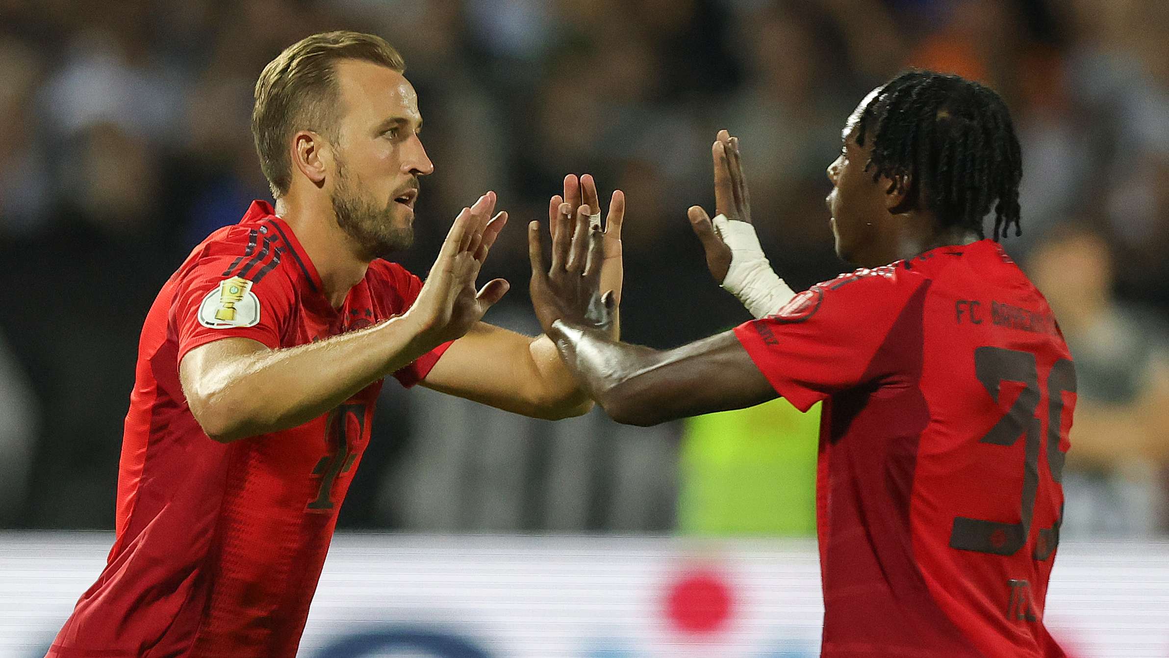 与专业性 与专业性