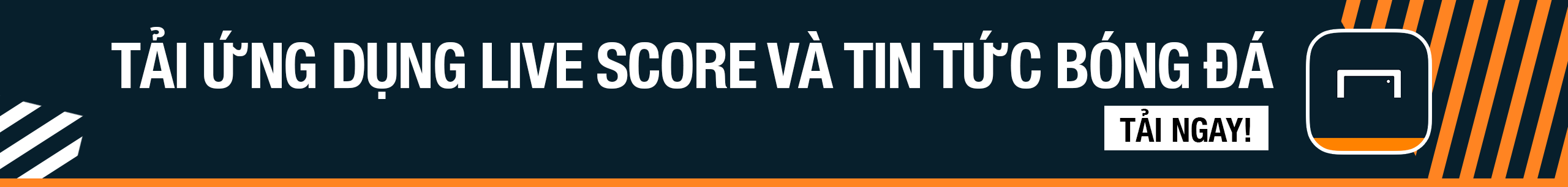 展现了出色 展现了出色