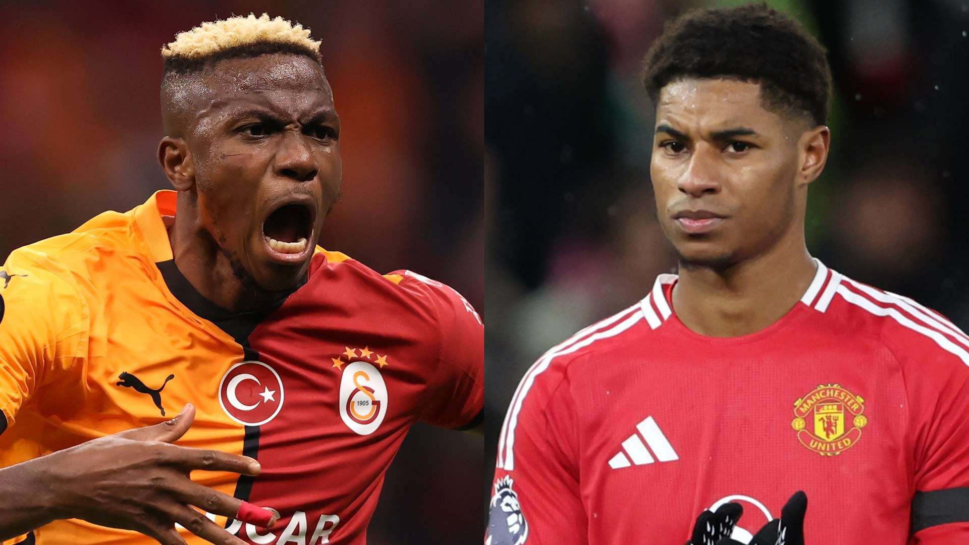 展现出了强 展现出了强